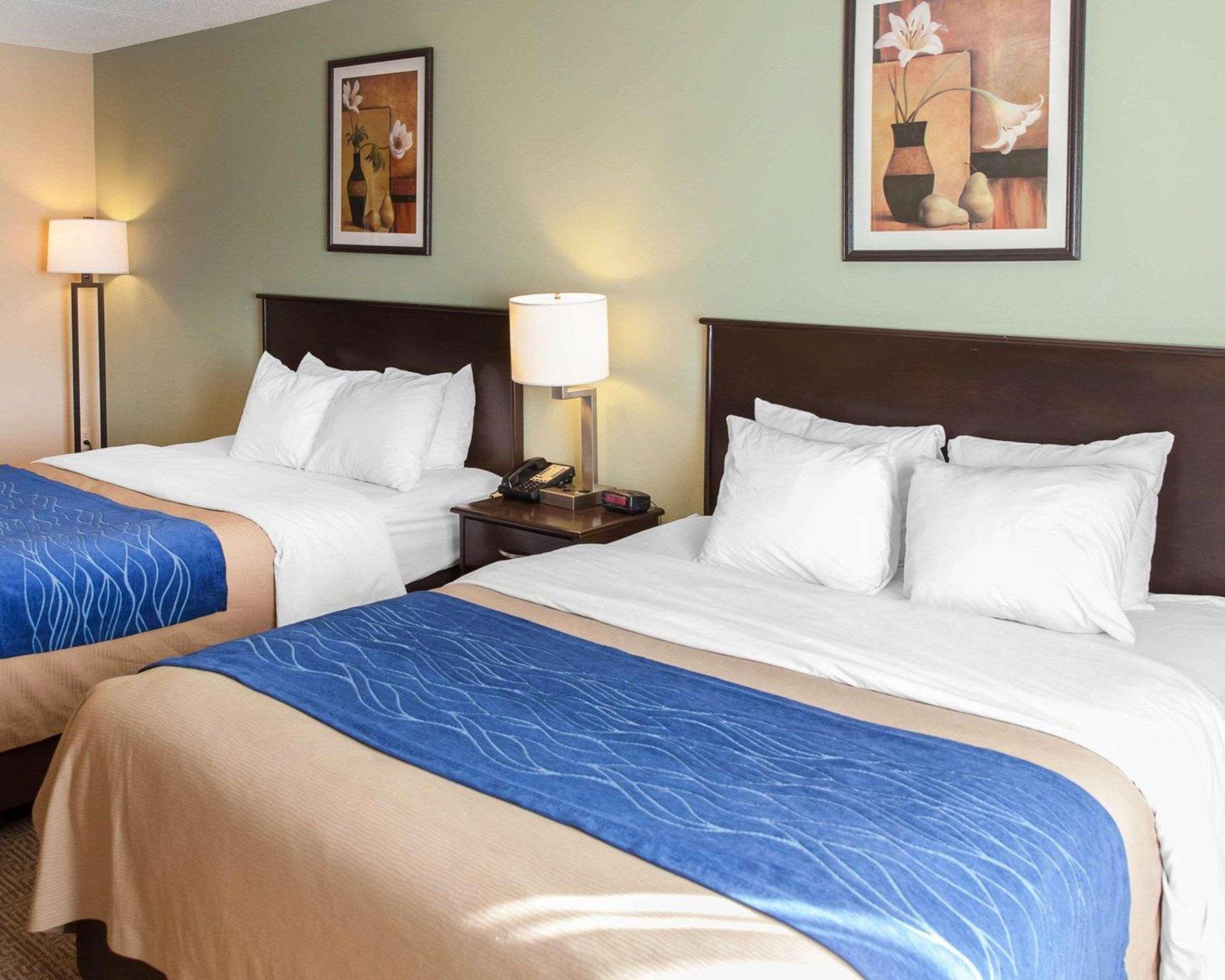 Locanda Comfort Near Quantico Main Gate North Dumfries