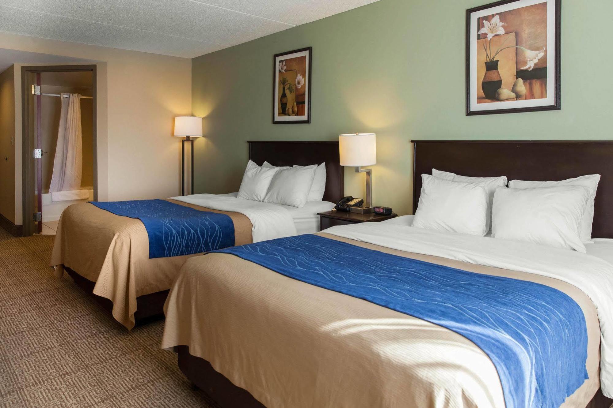 Locanda Comfort Near Quantico Main Gate North Dumfries