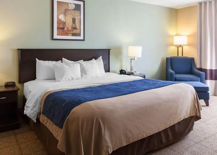 Comfort Inn Near Quantico Main Gate North